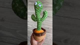 Танцующий кактус. Хит Тик-Тока, Dancing cactus