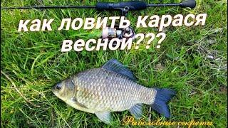 Как и когда ловить КАРАСЯ ВЕСНОЙ??? На что клюет карась!!! Основные СЕКРЕТЫ!