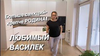 Обзор классных новинок Любимый василек/ Ивановский текстиль и трикотаж/ Санкции