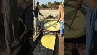 Punjab Pakistan Village Life | Jaggery Making | Old Punjab | Stunning Punjab | Rural Life Pakistan