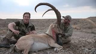 Hunting Pakistan for all indigenous animals! Live action!