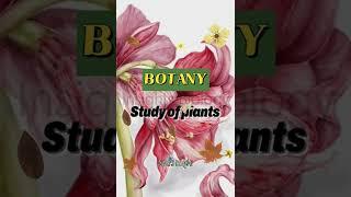 Botany - Biology Vocabulary | Insights Biology