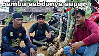 *BOLANG* *BAMBU UNIK* DAPAT BEBERAPA BAMBU UNIK YANG LANGKA ( SUPER UNIK )