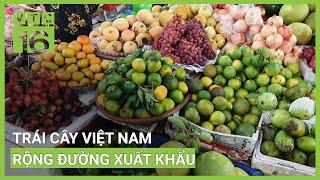 Trái cây Việt Nam 'rộng đường' sang Trung Quốc | VTC16