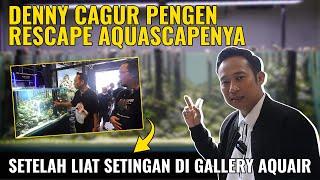 [AQUAIRPLAY] RESCAPE AQUASCAPE DENNY CAGUR. 7 WATERFALL AQUASCAPE