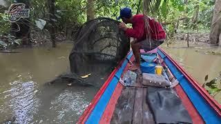 MENAJUR TABRUT ( TAPAH BRUTAL ) Hulu sungai Kalimantan