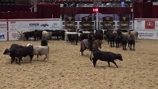 Third Edge & Wesley Galyean mark a HUGE 229 in NCHA Super Stakes