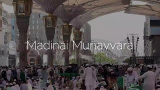 RASULIMIZ QO‘NIM TOPGAN YURT | Shayx Nuriddin Xoliqnazar hazratlari #Haj2024