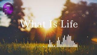 What Is Life ~ DHeusta (Original)