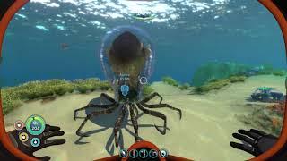 What happens when you release a CrabSquid from Alien Containment in Subnautica?
