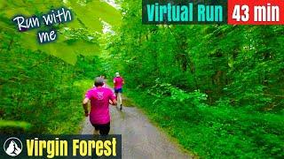 Natural forest  Switzerland Wonderland | Virtual Run #117