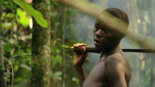 Congo: the Untamed Heart | Wildest Africa | 4K |