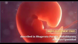 Embryo development stages described in #Bhagavatam, #Mahabharata, Aitareya #Upanishad #embryogenesis