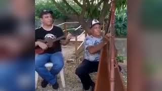 Paul Acevedo l Joropo Venezolano Instrumental