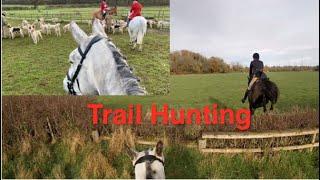 Trail Riding on 5y.o Irish Draught - Jumping Hedges and Rails with lots of Galloping | Equestrian