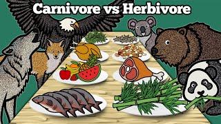 Carnivore vs Herbivore Animals | Learn What Animals Eat In The Forest | Drawing and Coloring Animals