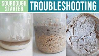 SOURDOUGH STARTER TROUBLESHOOTING - What's Wrong & How To Fix It