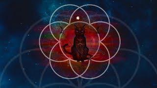 Sound Healing for CATS⎪FULL 1HOUR (Extended Version)