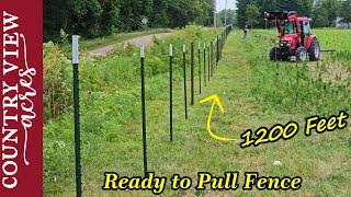 Driving in Posts, Getting Ready to Install Fence, and Artificial Insemination on the Dairy Hiefers