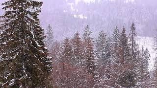 Winter landscape during snowfall - Slovakia