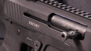 Hatsan Escort DF12: The AR Shotgun