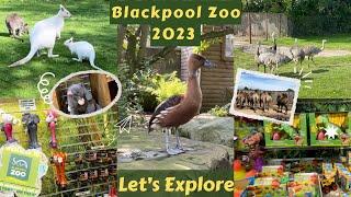 Blackpool Zoo 2023 | Let’s Explore Blackpool Zoo In Uk