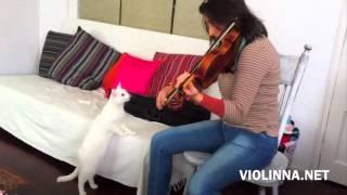 VIOLINNA vs WHITE CAT ! ;) LOL