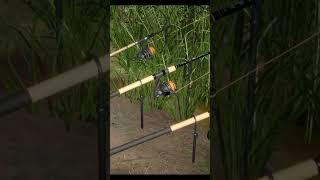 Fishing for crucian in the lake. Feeder fishingRF4 short #shorts #fishing #gaming