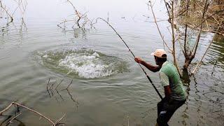 Amazing fishing| catching very big Rohu fishes in indian river| wild fishing