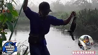 Monster bulat penghuni dasar sungai