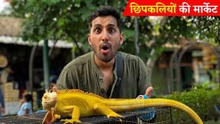 Indonesia's SHOCKING Exotic Animal Market!! Iguana, Snakes, Bats and More!