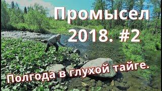 Промысел 2018. Спасаем буран, стройка века, офигенная рыбалка.