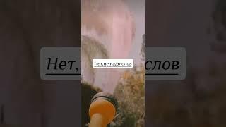 Сохрани на 31 августа #рекомендации #актив #популярно #aesthetic #FlowerQueen