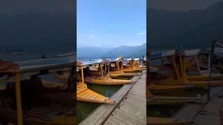 #travel #mughalgardens #srinagardiaries #dallake #houseboat #youtubeshorts  #thingstodoinkashmir