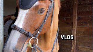 Vlog avec mon cheval !!