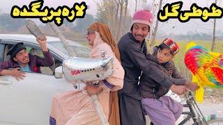 Lara Pregda Tuti Gull || New Funny Video 2024 by Bebe Vines Plus