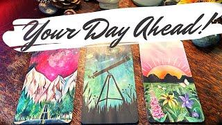 The Next 24 Hours From When You See This  | Pick a Card Tarot Reading | Pendulum & Charms