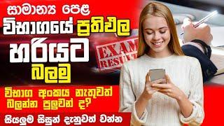 how to chek ol exam results sinhala | ol examination results | ol exam 2023(2024)| ol results update