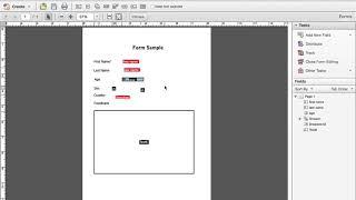 Creating a Fillable Form from Scratch Using Adobe Acrobat