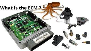 What is an Engine Control Module (ECM) and how does it work?
