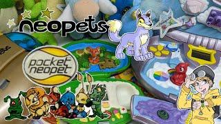 Pocket Neopet Gameplay and Review | The Neopets Virtual Pet