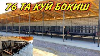 2500$ КЕТТИ КУЙ БОКИШ УСЛУБИ