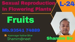 L-24|Sexual Reproduction in Flowering Plants | NEET | Fruits|Shamim@neet