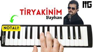 TİRYAKİNİM - Bayhan || Kolay Melodika Notaları