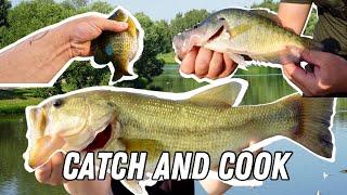 Multi-Species Fishing Challenge: From Catch to Cook!