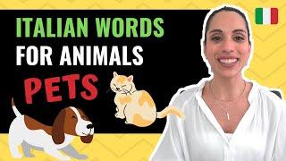 Italian words Animals - PETS