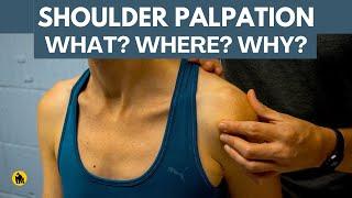 Shoulder Palpation (Physical Therapy)