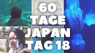 60 Tage Japan Vlog | Tag 18 Marine World und der Adler!?