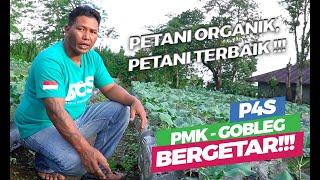 MANTAP BANGET P4S PETANI MUDA KEREN GOBLEG - Budidaya Tanaman Hortikultura Sayuran dari Hulu - Hilir