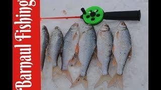 ЛОВЛЯ ПЛОТВЫ! ГЛУХОЗИМЬЕ НЕ ПОЧЕМ ЭТОМУ ЧЕРТИКУ! (Barnaul Fishing)